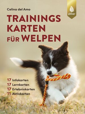 cover image of Trainingskarten für Welpen